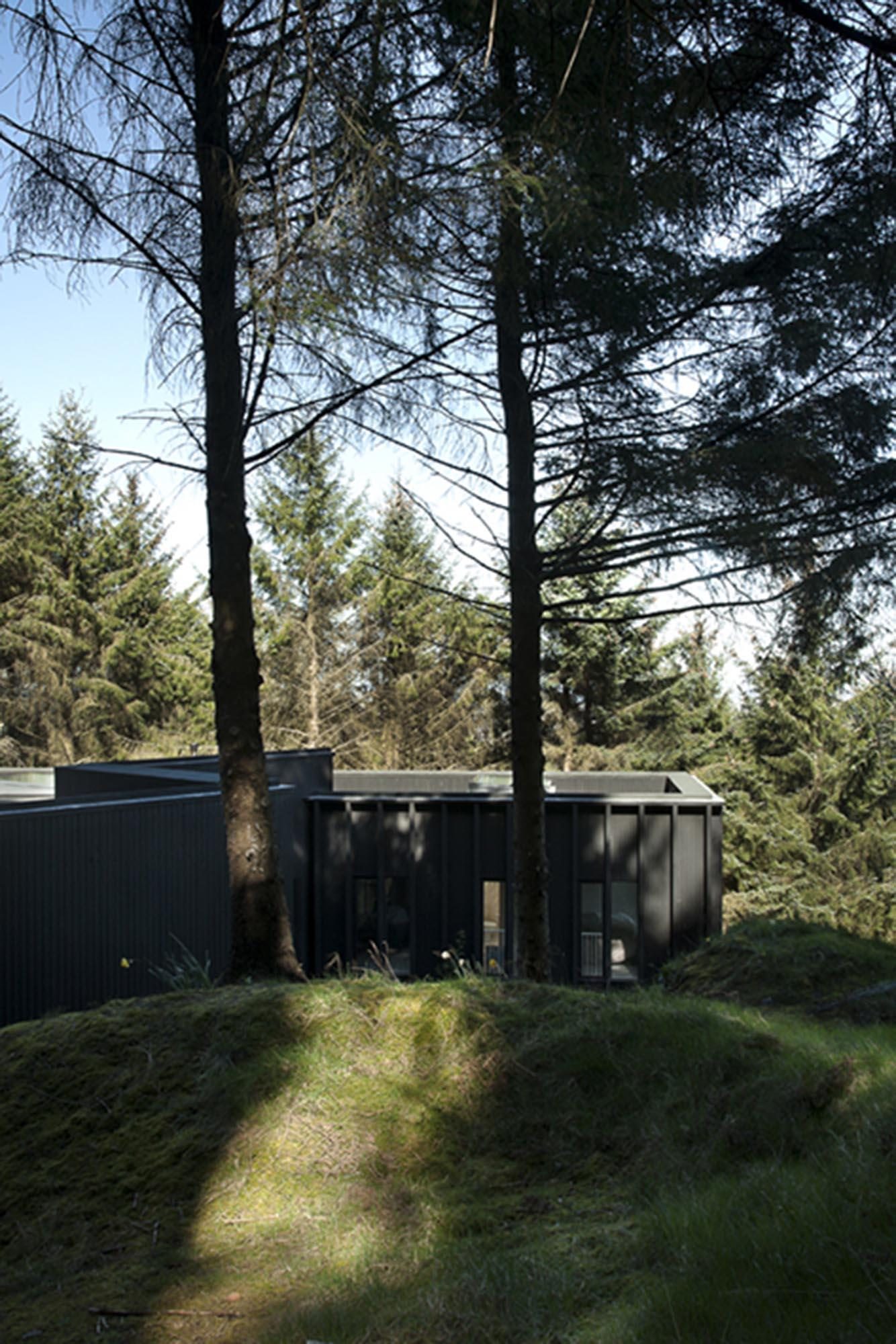 Clancymoore Img 8239